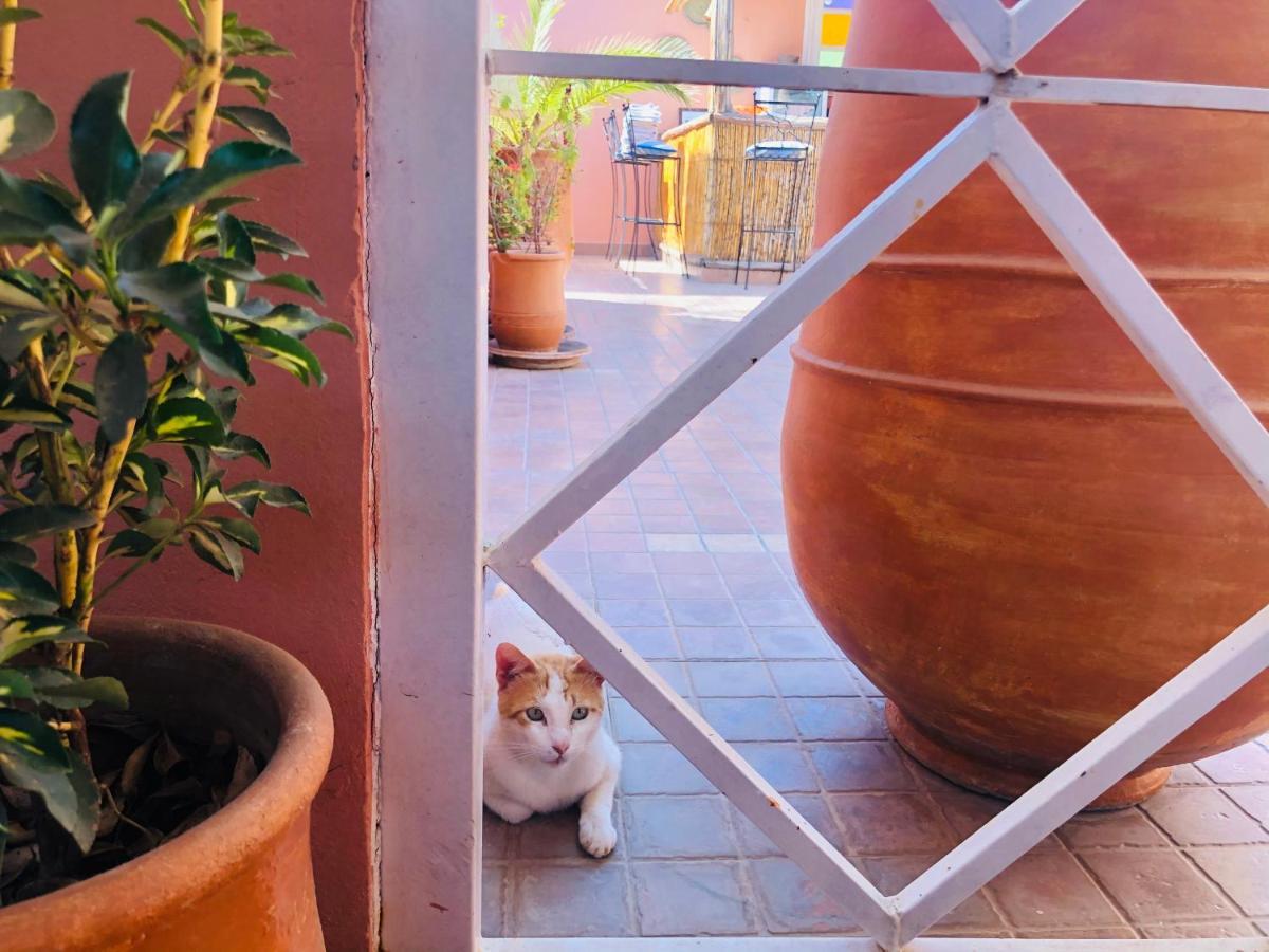 Riad Dihya Marrakesch Exterior foto